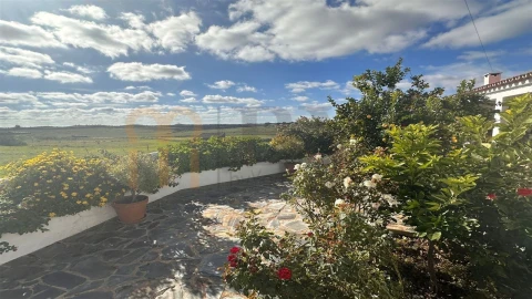Quinta T7 para Venda em São Miguel do Pinheiro, São Pedro de Solis, São Sebastião dos Carros