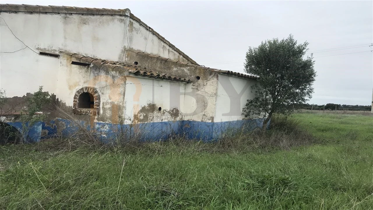 Terreno Misto para Venda em Ferreira do Alentejo e Canhestros Foto 4