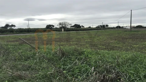 Terreno Misto para Venda em Ferreira do Alentejo e Canhestros