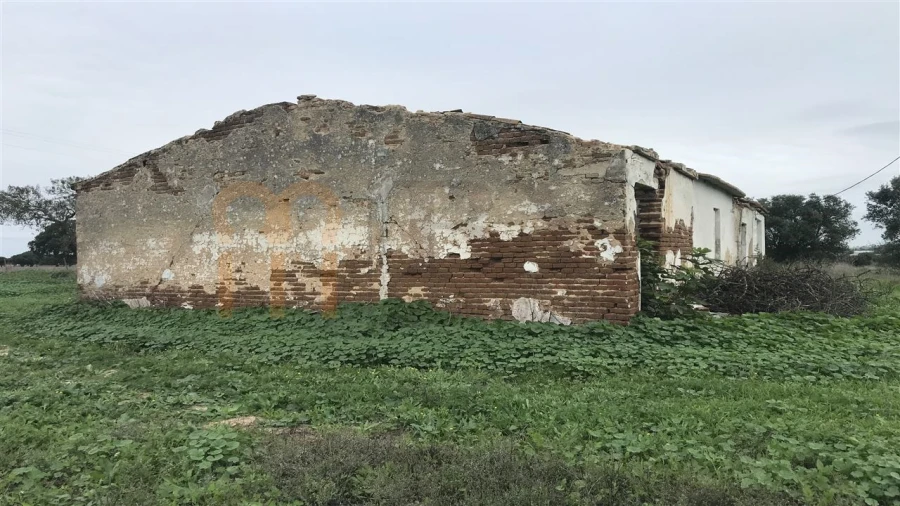 Terreno Misto para Venda em Ferreira do Alentejo e Canhestros Foto 3