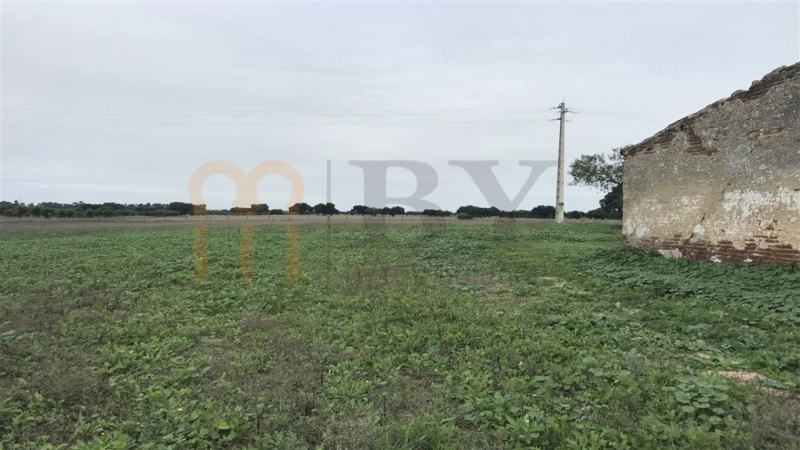 Terreno Misto para Venda em Ferreira do Alentejo e Canhestros Foto 6