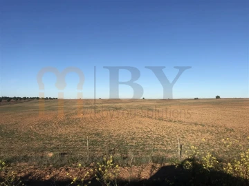 Terreno Agricola ou Rústico para Venda em Alcaria Ruiva
