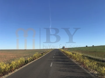 Terreno Agricola ou Rústico para Venda em Alcaria Ruiva