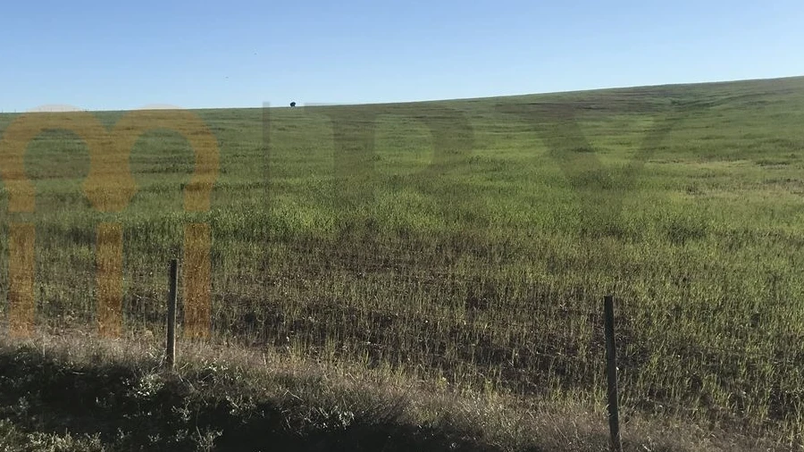 Terreno Agricola ou Rústico para Venda em Alcaria Ruiva