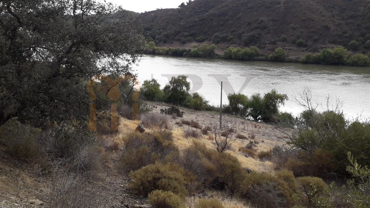 Terreno Agricola ou Rústico para Venda em Mertola Foto 4