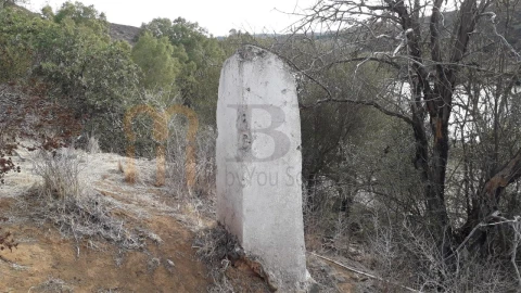 Terreno Agricola ou Rústico para Venda em Mertola