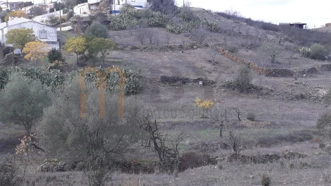 Terreno Agricola ou Rústico para Venda em Espirito Santo