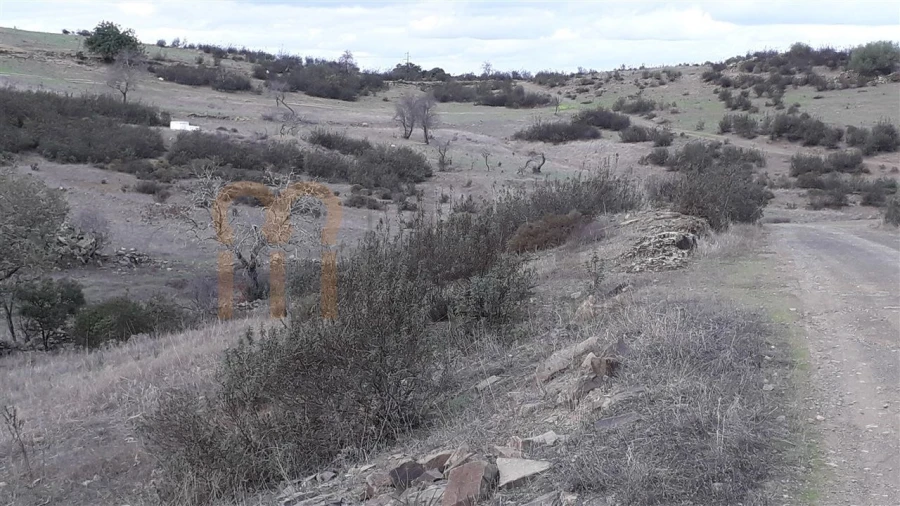 Terreno Agricola ou Rústico para Venda em Espirito Santo Foto 3