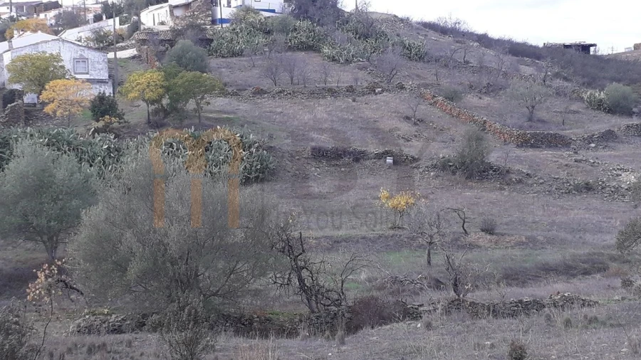 Terreno Agricola ou Rústico para Venda em Espirito Santo