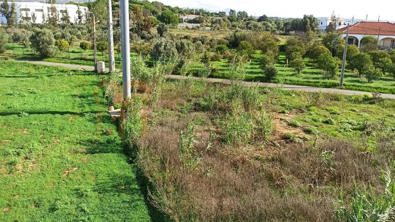 Terreno para Venda em Almancil Foto 5
