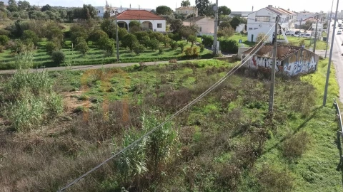 Terreno para Venda em Almancil