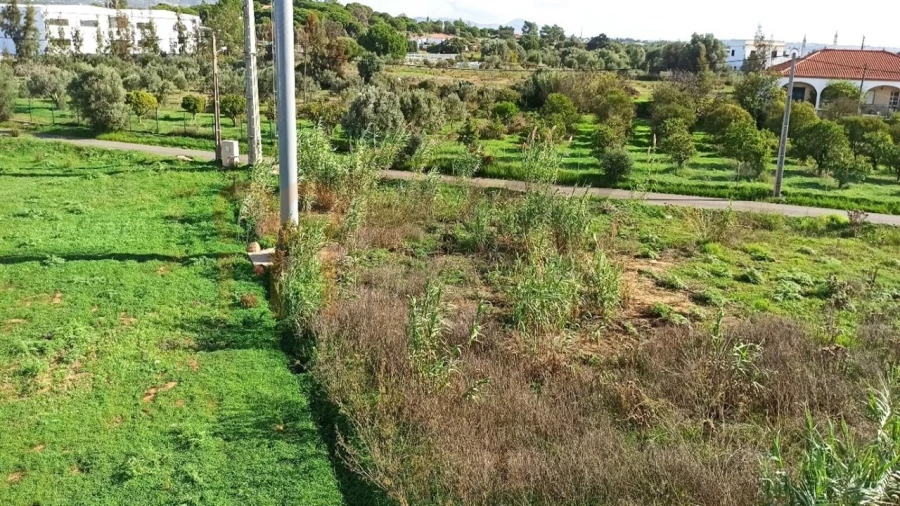 Terreno para Venda em Almancil Foto 5