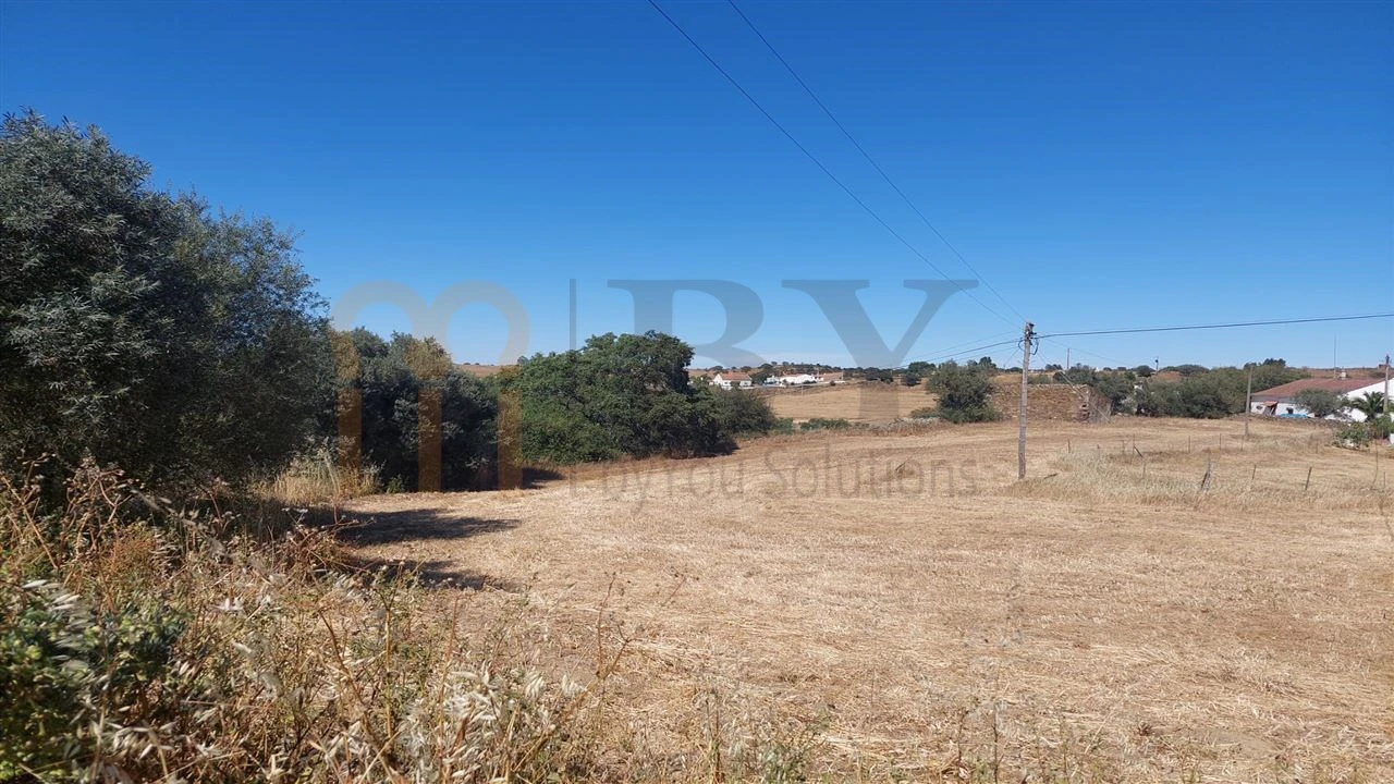 Terreno Agricola ou Rústico para Venda em Santa Clara-A-Nova e Gomes Aires Foto 1