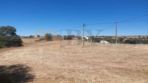 Terreno Agricola ou Rústico para Venda em Santa Clara-A-Nova e Gomes Aires