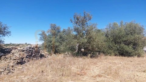 Terreno Agricola ou Rústico para Venda em Santa Clara-A-Nova e Gomes Aires