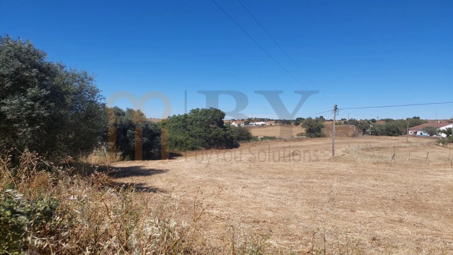 Terreno Agricola ou Rústico para Venda em Santa Clara-A-Nova e Gomes Aires