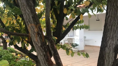 Moradia T4 para Venda em Mertola