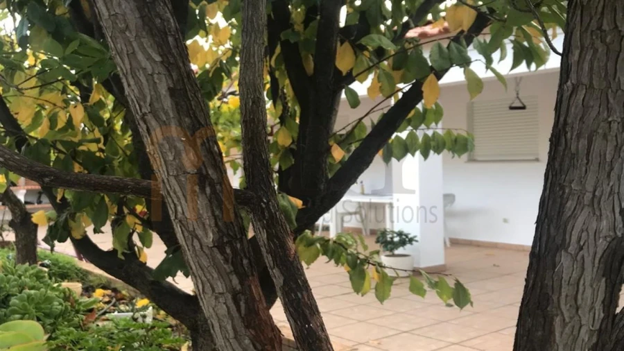 Moradia T4 para Venda em Mertola Foto 6