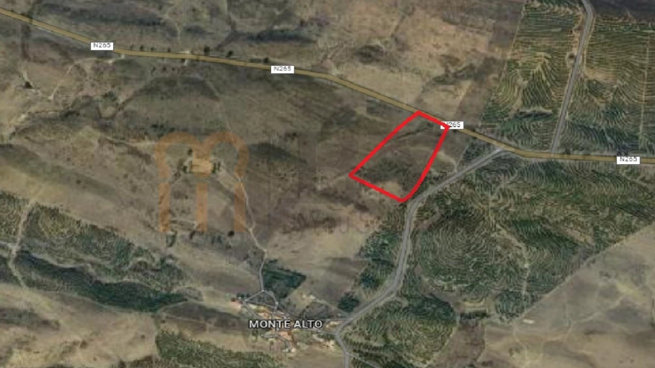 Terreno para Venda em Mertola Foto 11