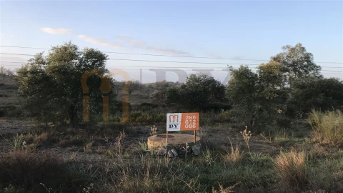 Terreno para Venda em Mertola