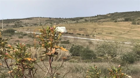 Terreno para Venda em Mertola