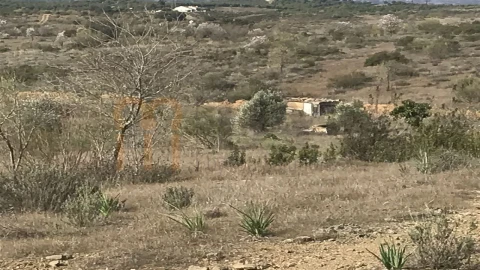 Terreno para Venda em Mertola