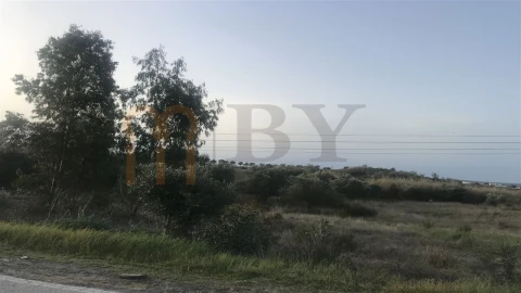 Terreno para Venda em Mertola