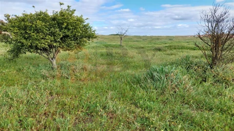 Terreno para Venda em Entradas