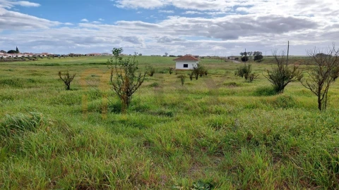 Terreno para Venda em Entradas
