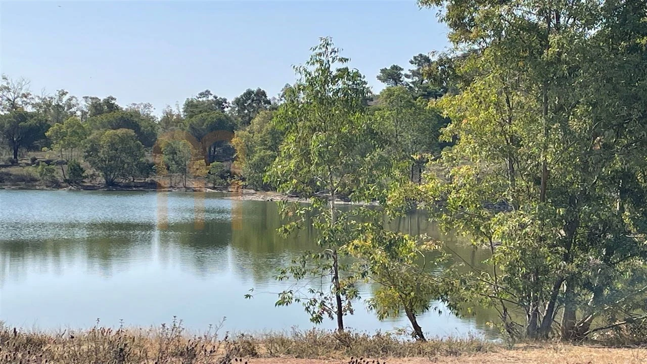 Terreno Agricola ou Rústico para Venda em Santana de Cambas Foto 4
