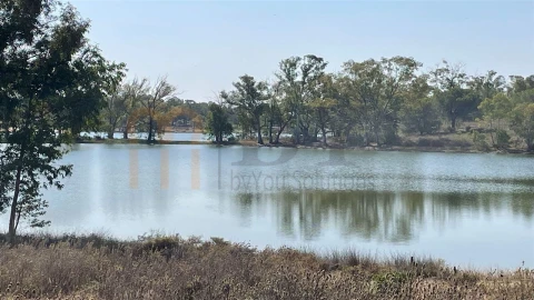 Terreno Agricola ou Rústico para Venda em Santana de Cambas