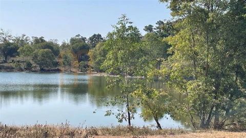 Terreno Agricola ou Rústico para Venda em Santana de Cambas