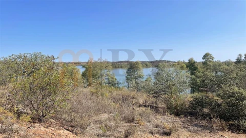 Terreno Agricola ou Rústico para Venda em Santana de Cambas