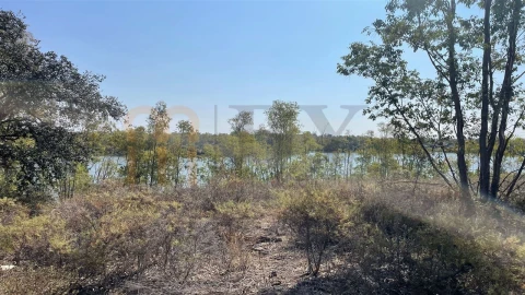 Terreno Agricola ou Rústico para Venda em Santana de Cambas