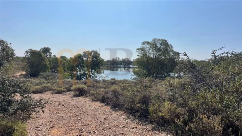 Terreno Agricola ou Rústico para Venda em Santana de Cambas