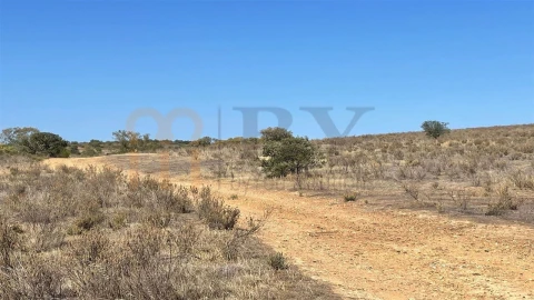 Terreno Agricola ou Rústico para Venda em Santana de Cambas