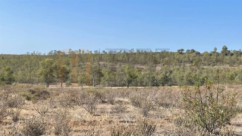 Terreno Agricola ou Rústico para Venda em Santana de Cambas