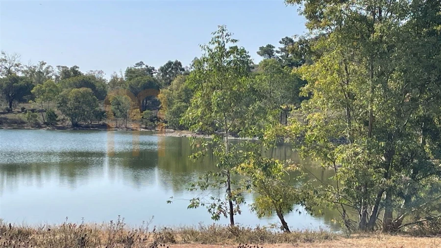 Terreno Agricola ou Rústico para Venda em Santana de Cambas Foto 4