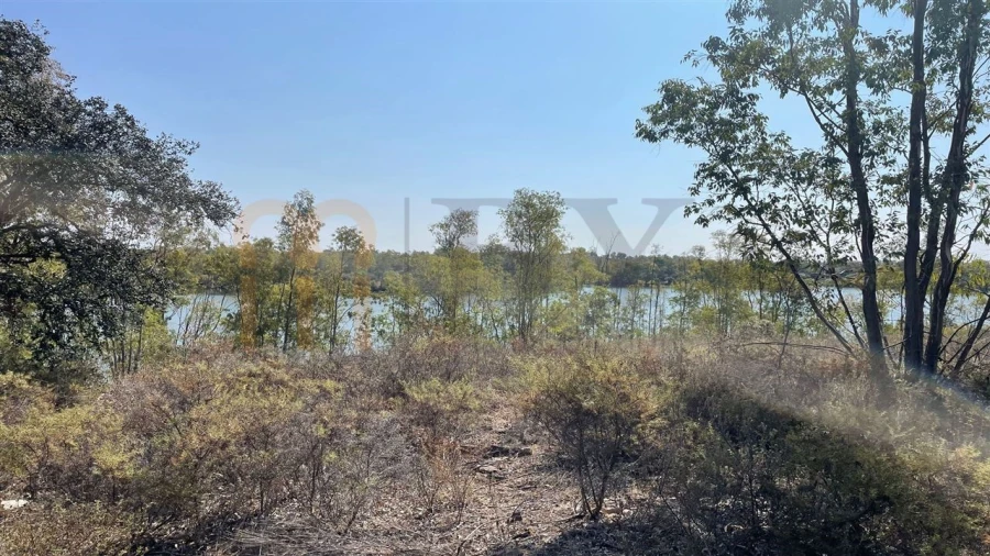 Terreno Agricola ou Rústico para Venda em Santana de Cambas Foto 8