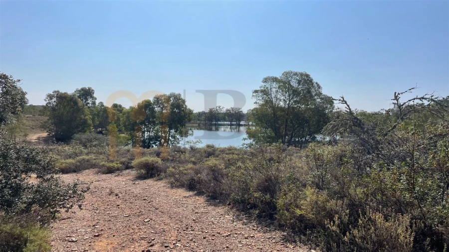 Terreno Agricola ou Rústico para Venda em Santana de Cambas Foto 14