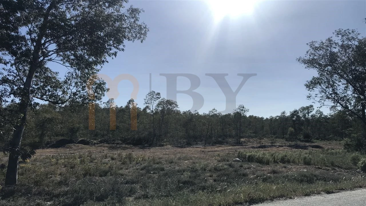Terreno Agricola ou Rústico para Venda em Santana de Cambas Foto 1