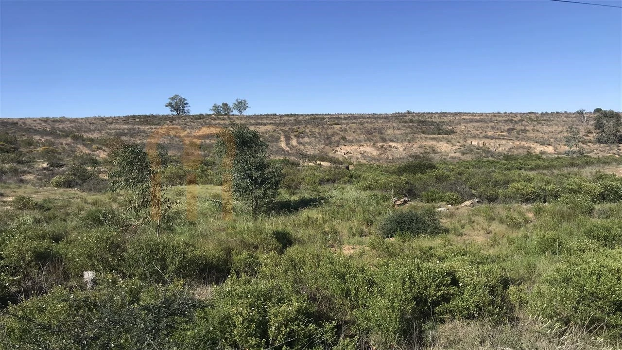 Terreno Agricola ou Rústico para Venda em Santana de Cambas Foto 3