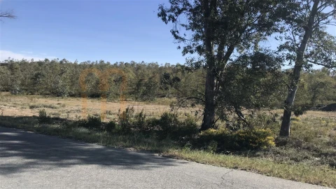 Terreno Agricola ou Rústico para Venda em Santana de Cambas