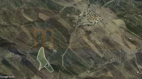 Terreno Agricola ou Rústico para Venda em Espirito Santo