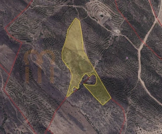 Terreno Agricola ou Rústico para Venda em Espirito Santo