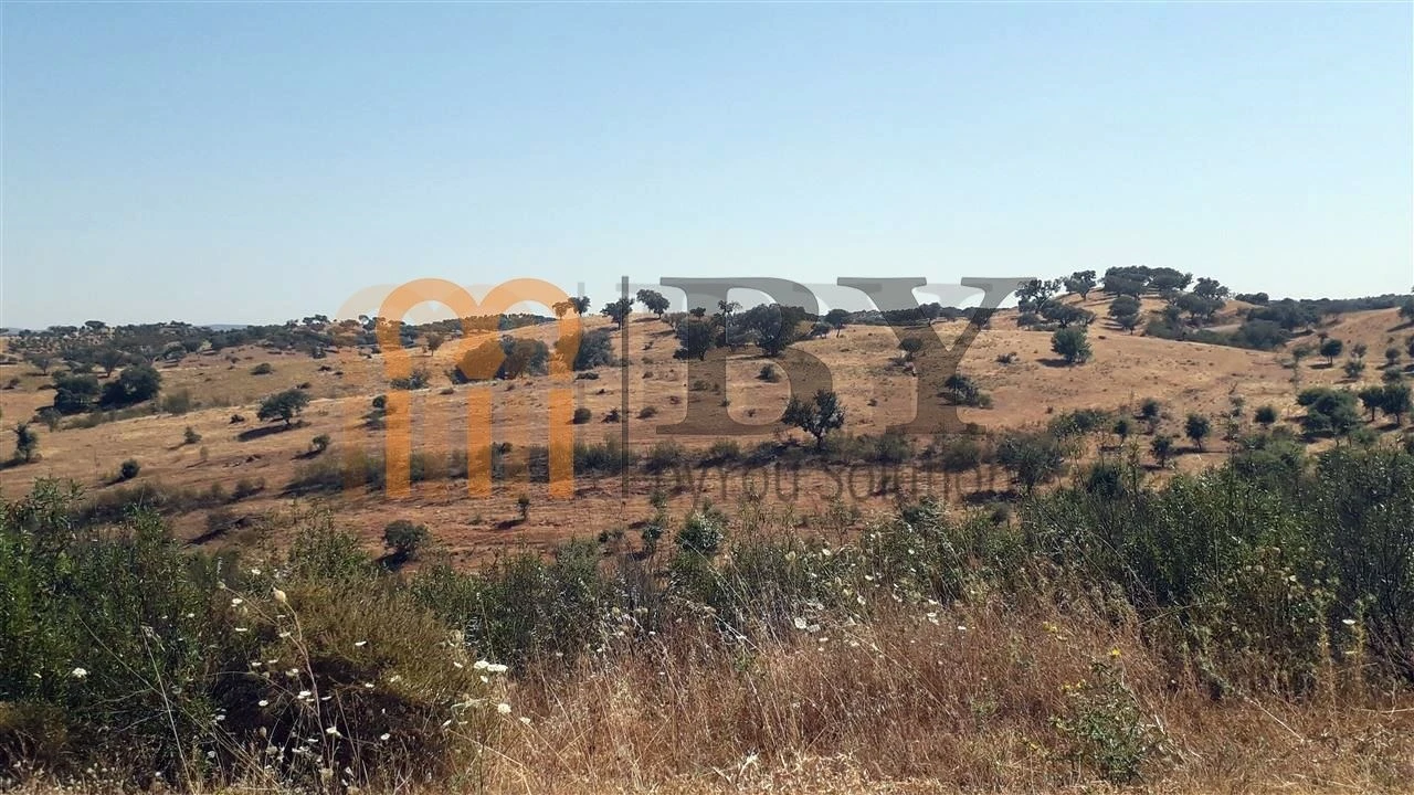 Quinta para Venda em Mertola Foto 11