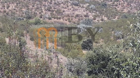 Quinta para Venda em Mertola