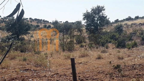 Quinta para Venda em Mertola
