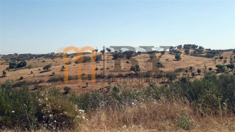 Quinta para Venda em Mertola