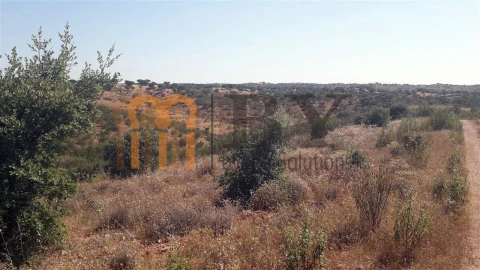 Quinta para Venda em Mertola